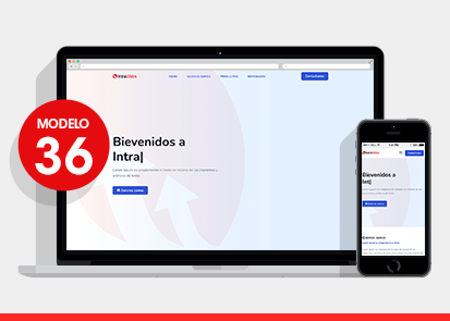 modelo de diseño web 36