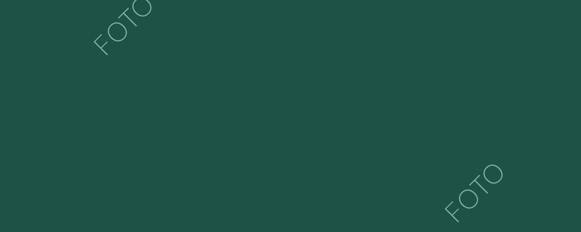 <h1>Titulo 3</h1><p>Descripción larga.</p>